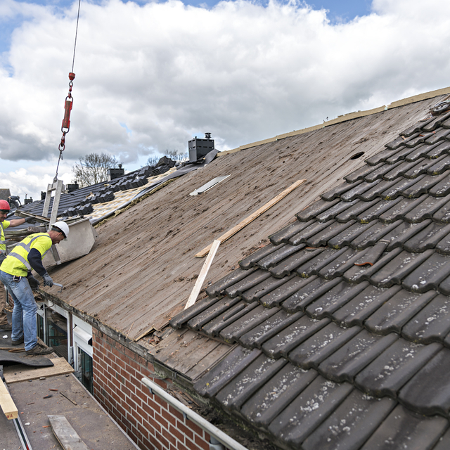 bouw selwerd 01 liggend lowres.jpg