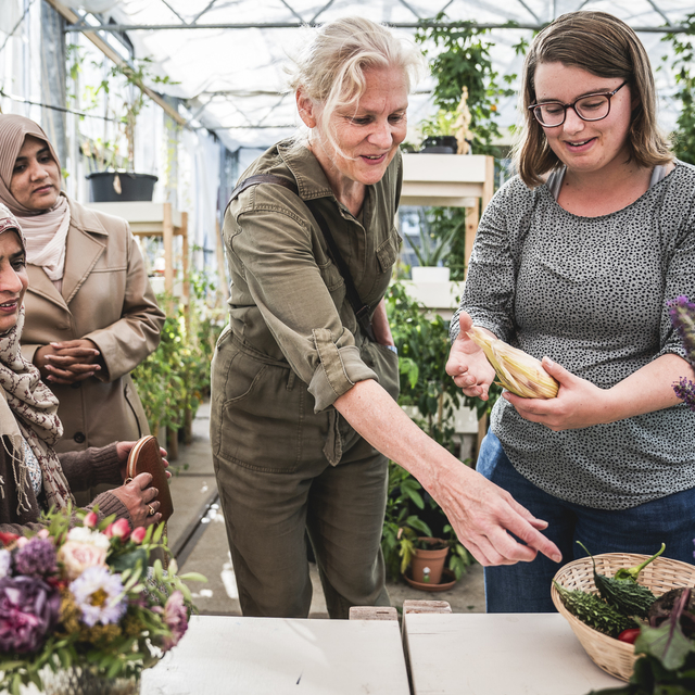 Foto Volkshortus.jpg